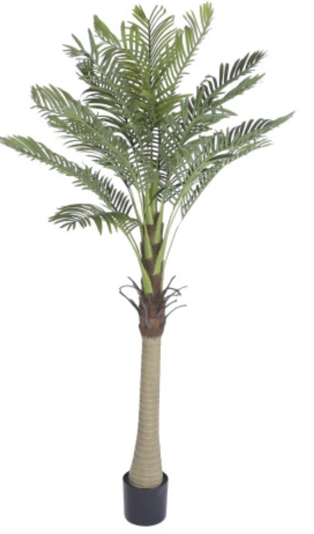 Decorative plant included in the Medium Package
